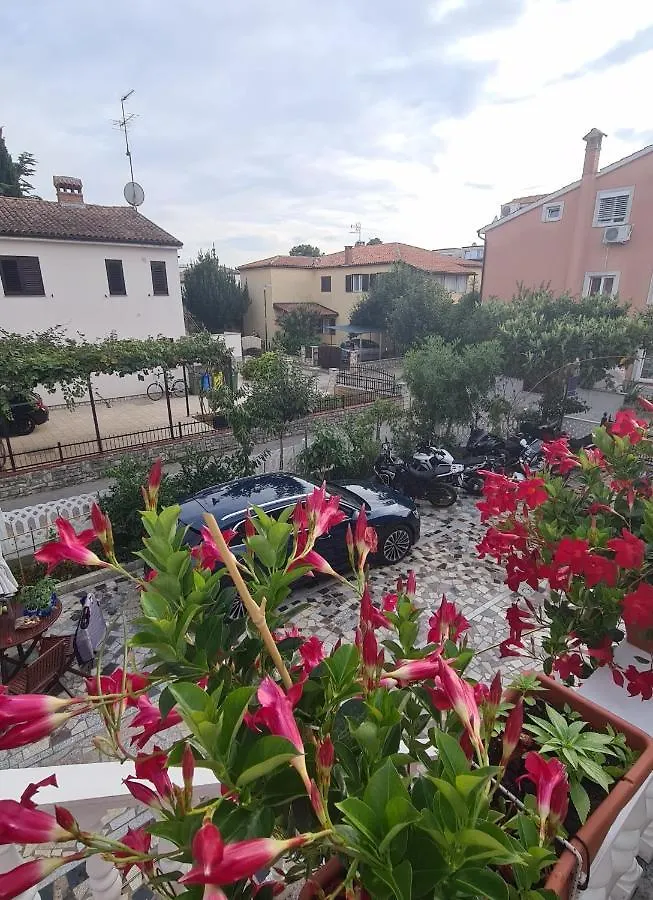 Apartments Tereza Novigrad Istria 0*,